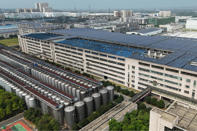 Large Scale Industrial Solar Energy Project